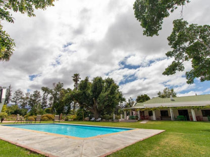 Green Olive Guesthouse Robertson Western Cape South Africa Swimming Pool