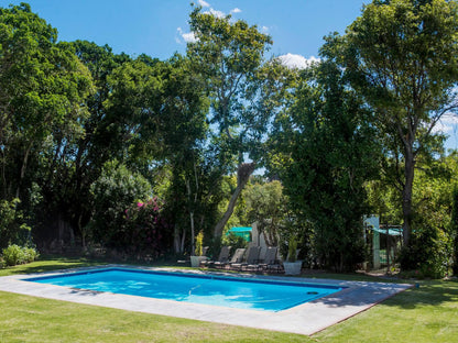 Green Olive Guesthouse Robertson Western Cape South Africa Garden, Nature, Plant, Swimming Pool