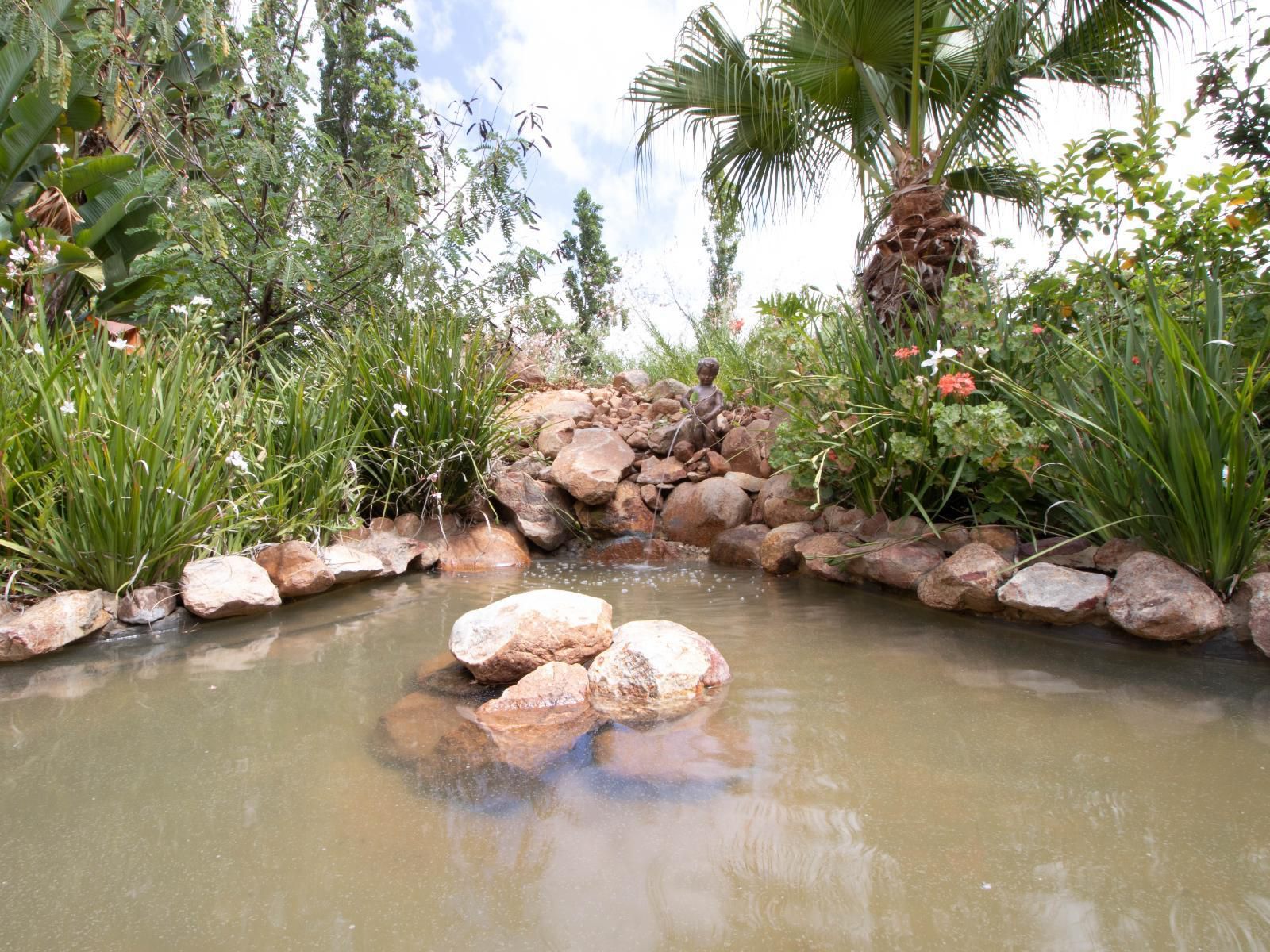 Green Olive Guesthouse Robertson Western Cape South Africa Palm Tree, Plant, Nature, Wood, Reptile, Animal, River, Waters, Garden