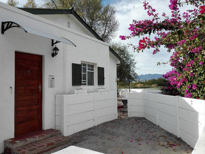 Green Olive Guesthouse Robertson Western Cape South Africa House, Building, Architecture