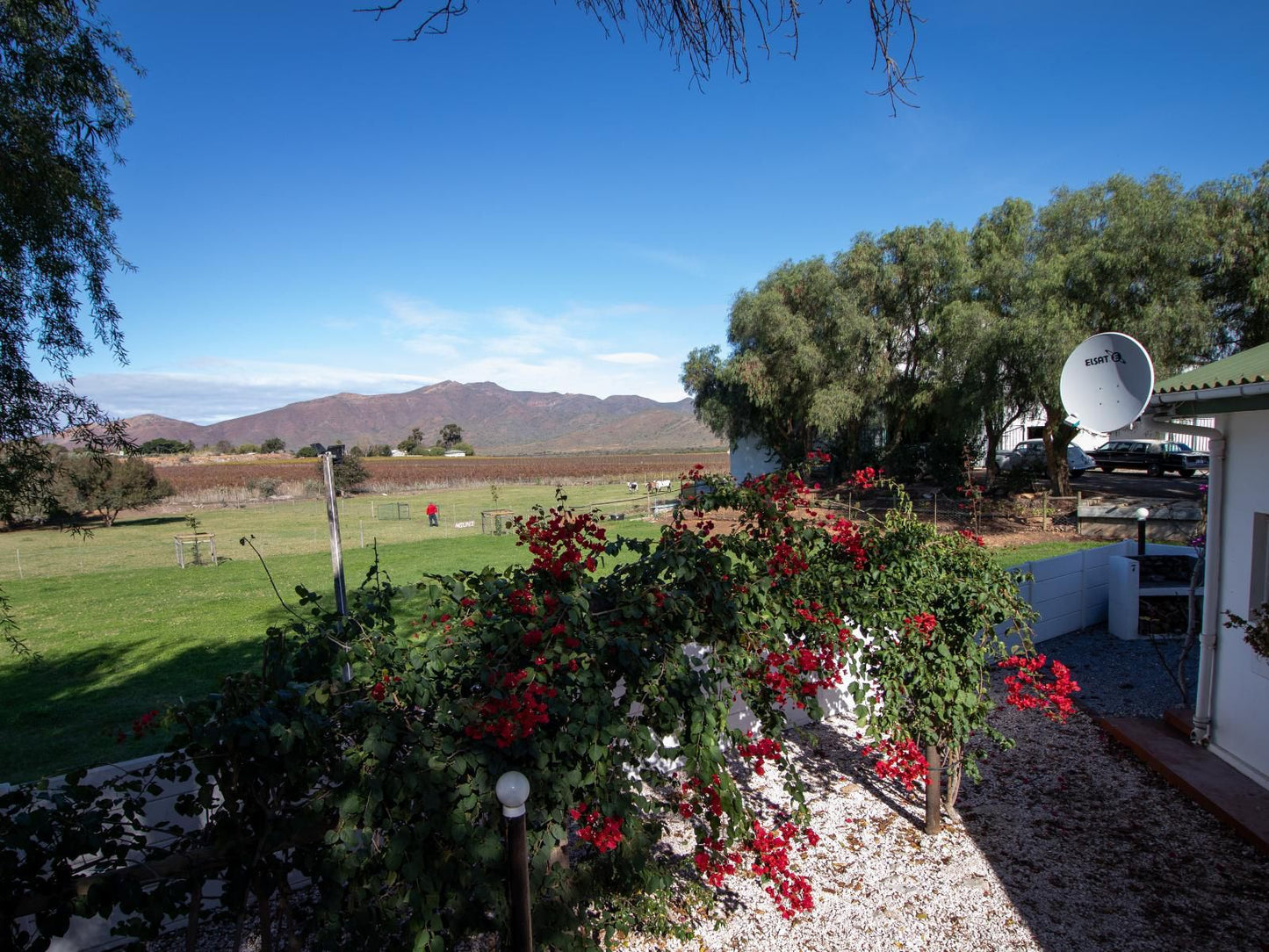 Green Olive Guesthouse Robertson Western Cape South Africa Nature