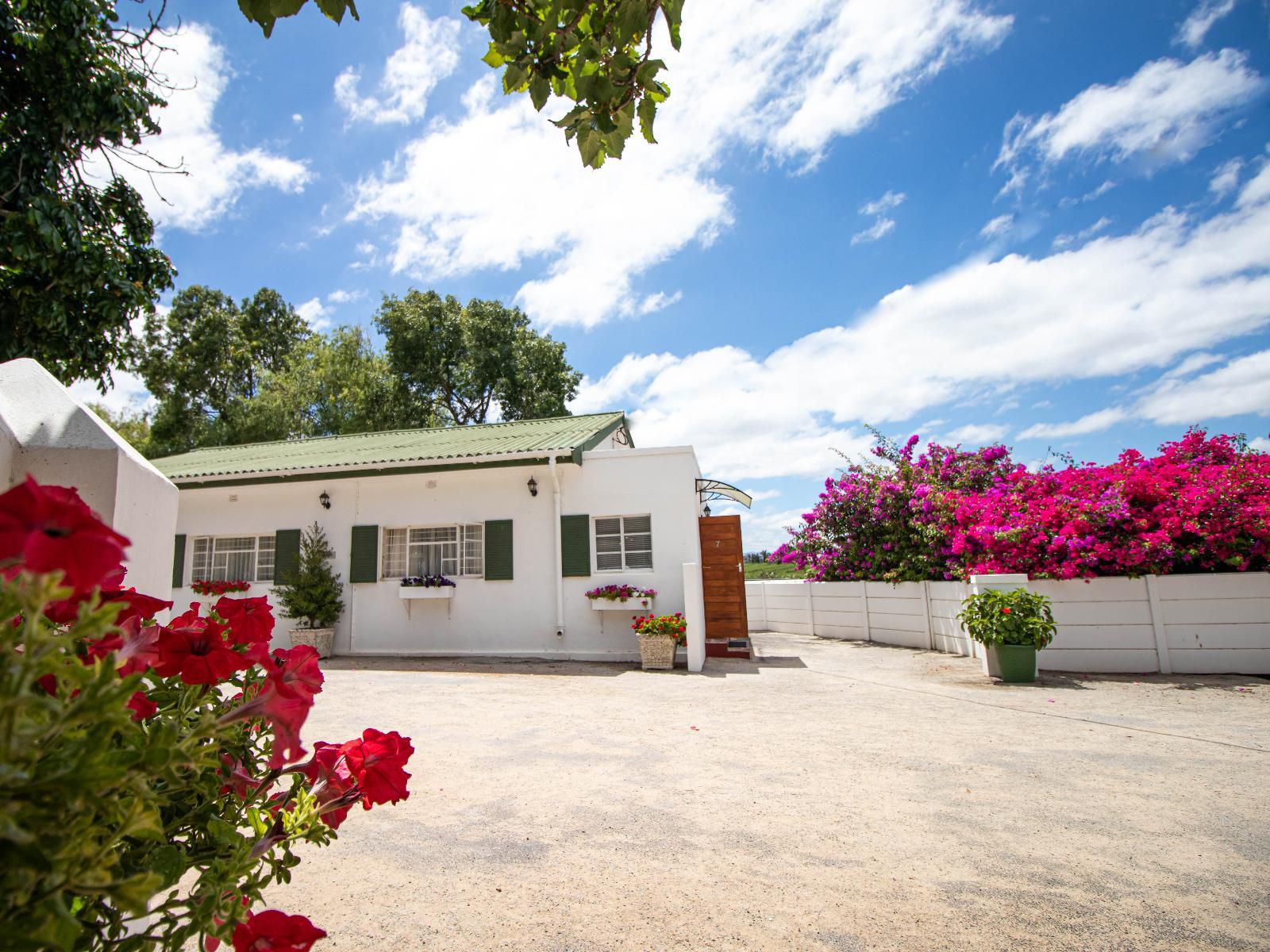 Green Olive Guesthouse Robertson Western Cape South Africa Complementary Colors, House, Building, Architecture