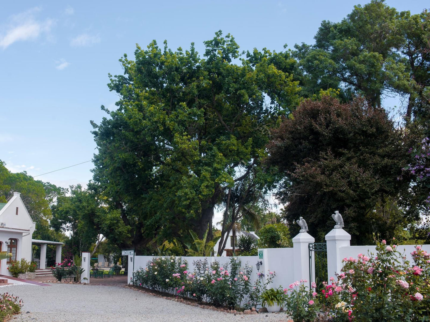 Green Olive Guesthouse Robertson Western Cape South Africa House, Building, Architecture, Plant, Nature