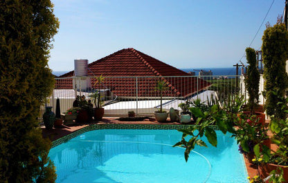 Greenpoint Ocean Views Green Point Cape Town Western Cape South Africa Beach, Nature, Sand, Palm Tree, Plant, Wood, Swimming Pool