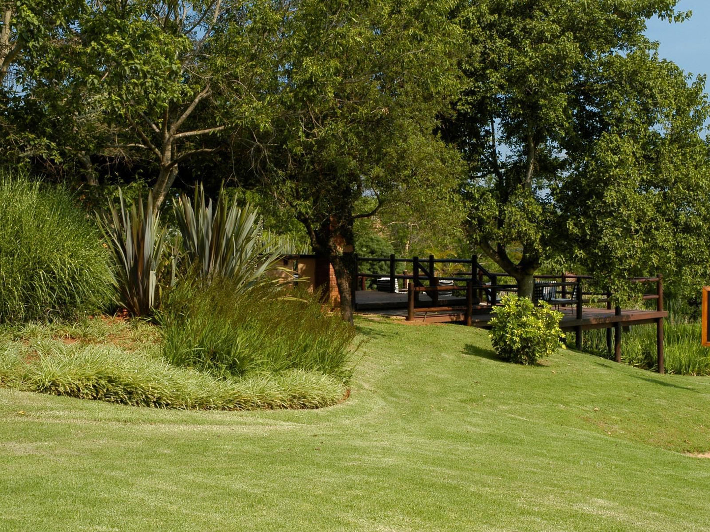 Greenway Woods Accommodation White River Mpumalanga South Africa Plant, Nature, Garden