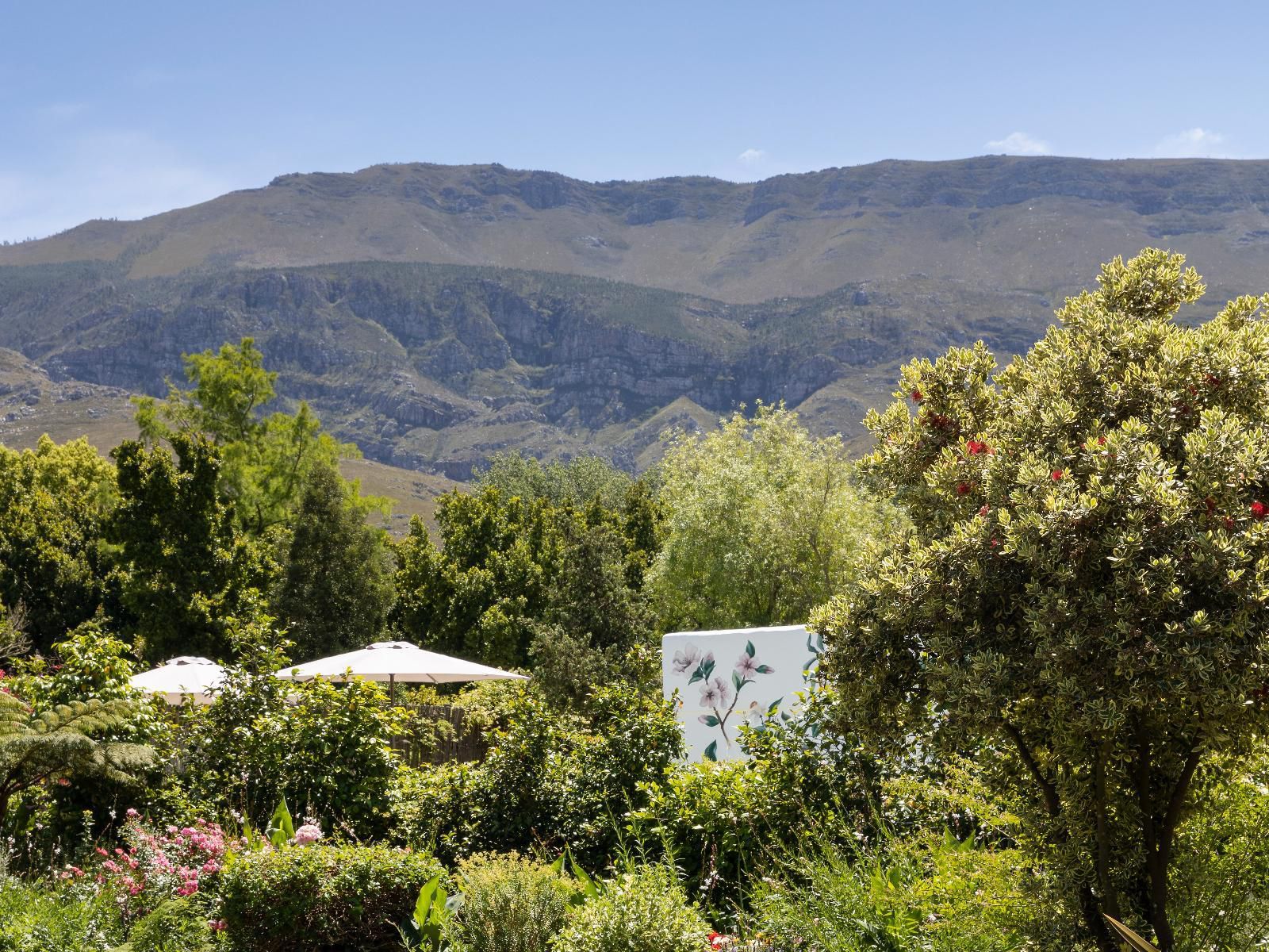 Greyton Lodge, Mountain, Nature, Garden, Plant, Highland