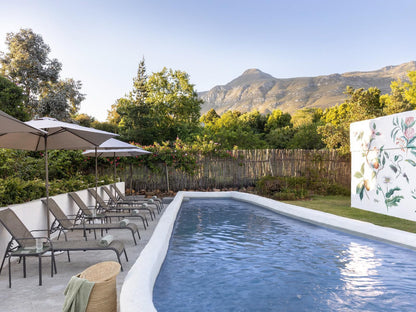 Greyton Lodge, Mountain, Nature, Swimming Pool