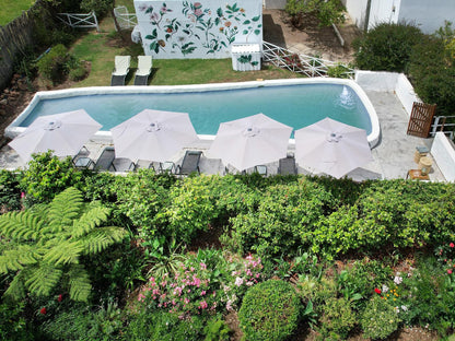 Greyton Lodge, Garden, Nature, Plant, Swimming Pool