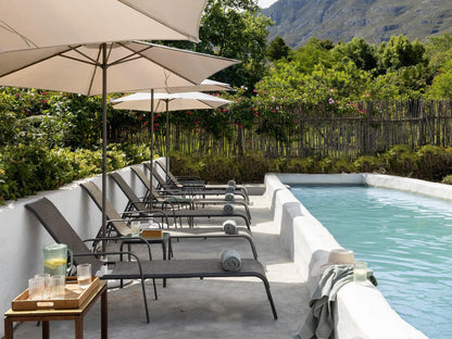 Greyton Lodge, Palm Tree, Plant, Nature, Wood, Swimming Pool