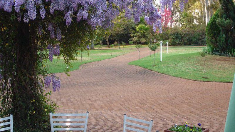Griffin S Estate Country Venue Randfontein Gauteng South Africa Plant, Nature, Garden