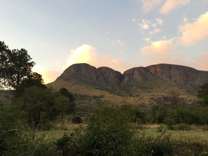 Griffons Nest Marakele National Park Limpopo Province South Africa Nature