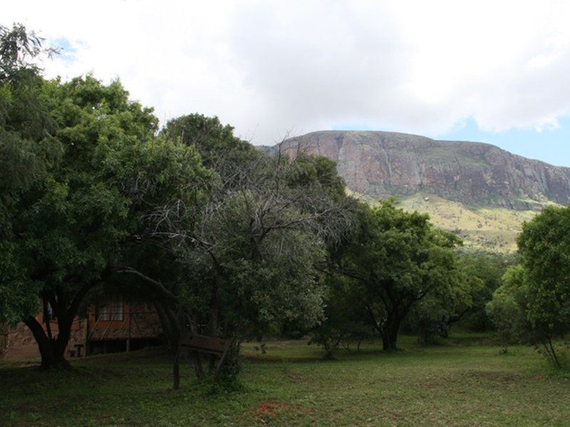 Griffons Bush Camp Thabazimbi Limpopo Province South Africa Tree, Plant, Nature, Wood, Highland