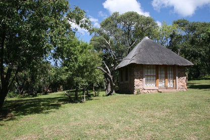 Griffons Bush Camp Thabazimbi Limpopo Province South Africa 
