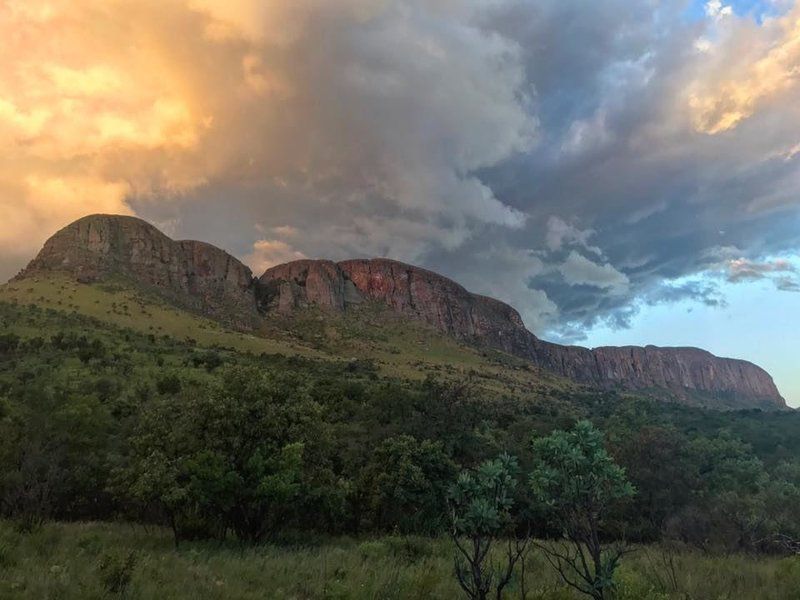 Griffons Bush Camp Thabazimbi Limpopo Province South Africa Nature