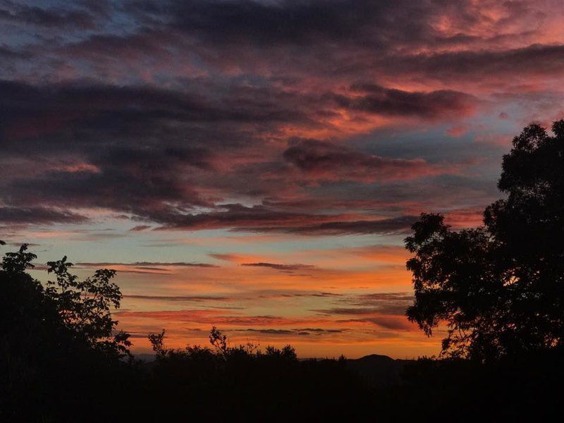 Griffons Bush Camp Thabazimbi Limpopo Province South Africa Sky, Nature, Clouds, Sunset