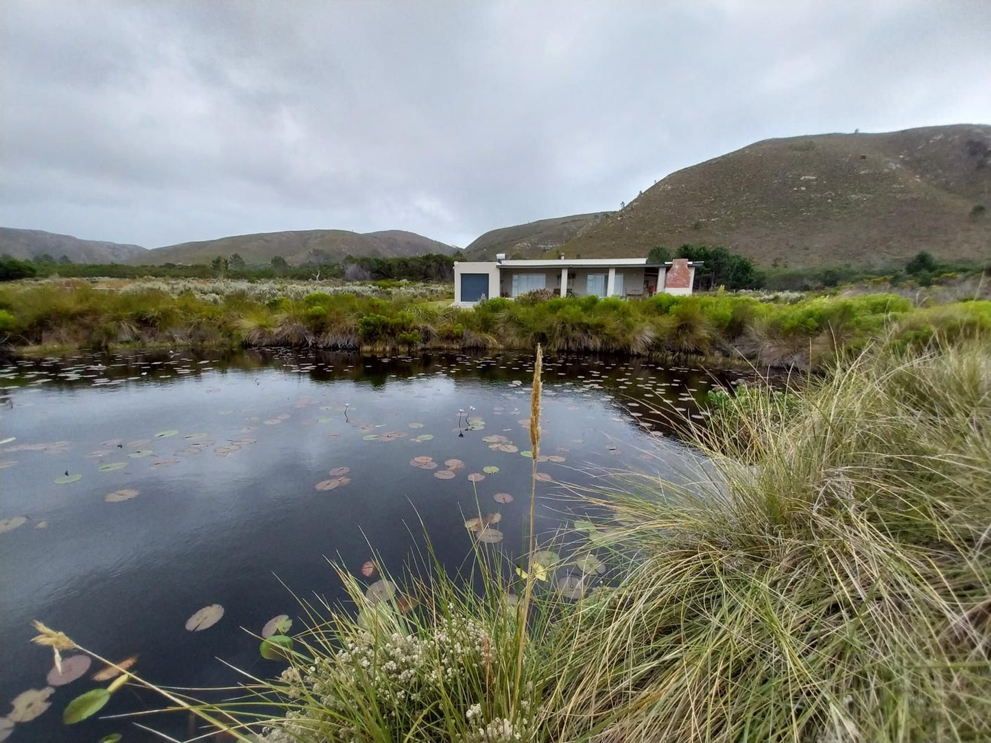 Groeneweide Farm Franskraal Western Cape South Africa Complementary Colors, Highland, Nature