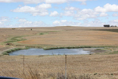 Groenfontein Guest Farm Vrede Free State Free State South Africa Complementary Colors, Lowland, Nature