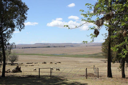 Groenfontein Guest Farm Vrede Free State Free State South Africa Complementary Colors, Lowland, Nature