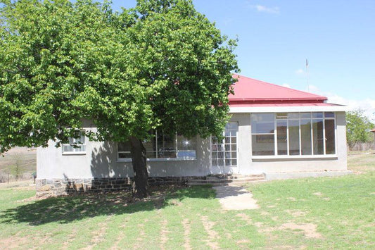 Groenfontein Guest Farm Vrede Free State Free State South Africa Complementary Colors, House, Building, Architecture, Tree, Plant, Nature, Wood, Window