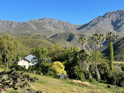 The Retreat At Groenfontein Calitzdorp Western Cape South Africa Complementary Colors, Mountain, Nature, Palm Tree, Plant, Wood, Highland