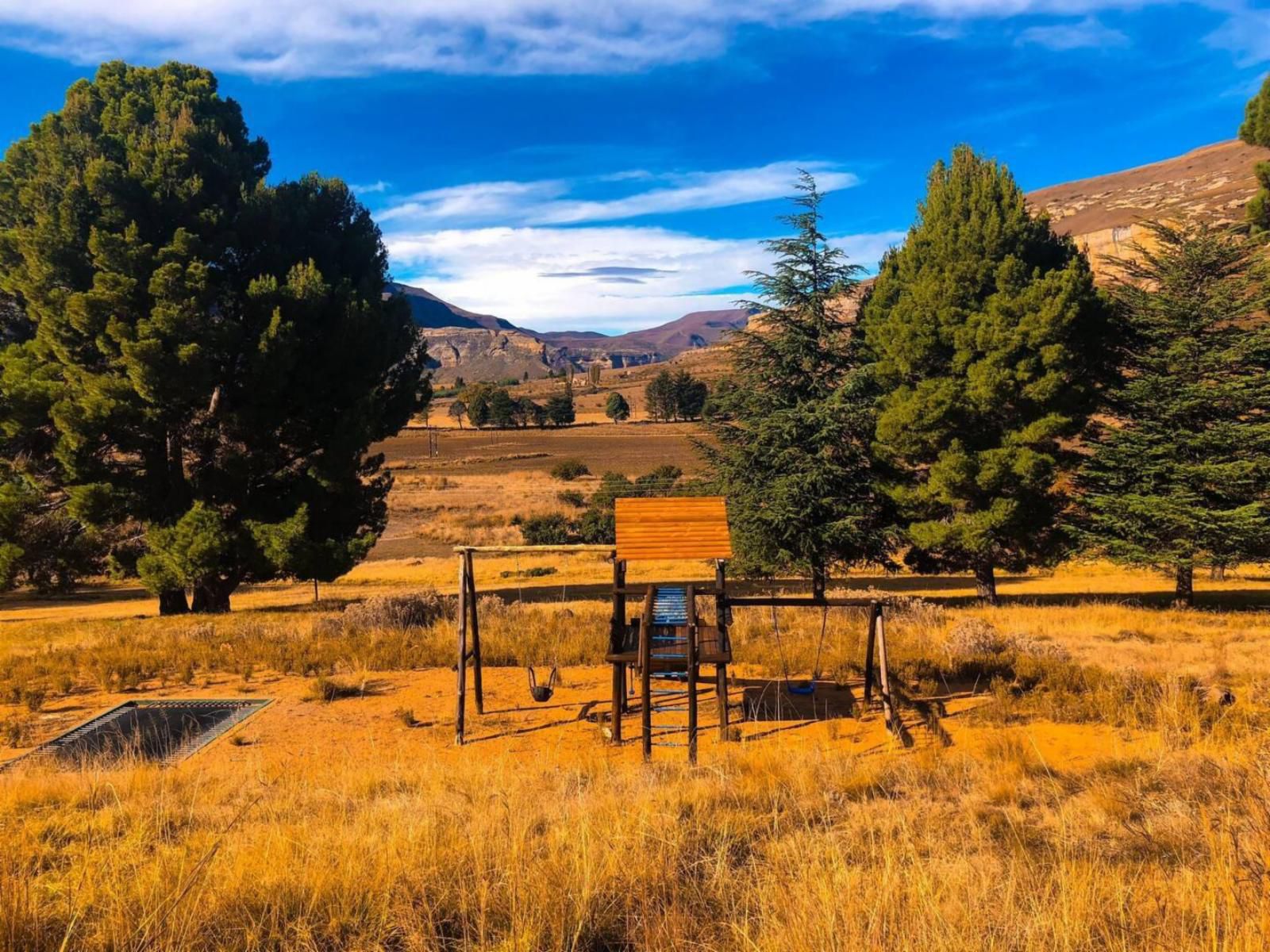 Groenhoek Guest Farms Clarens Free State South Africa Complementary Colors