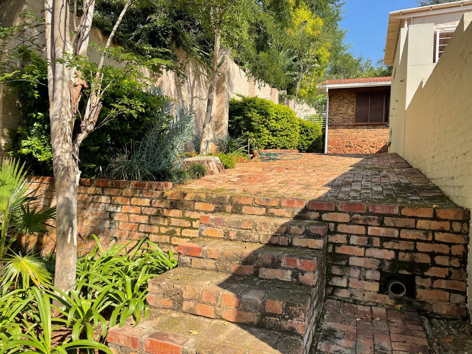 Stay2Live Groenkloof Groenkloof Pretoria Tshwane Gauteng South Africa House, Building, Architecture, Brick Texture, Texture, Garden, Nature, Plant