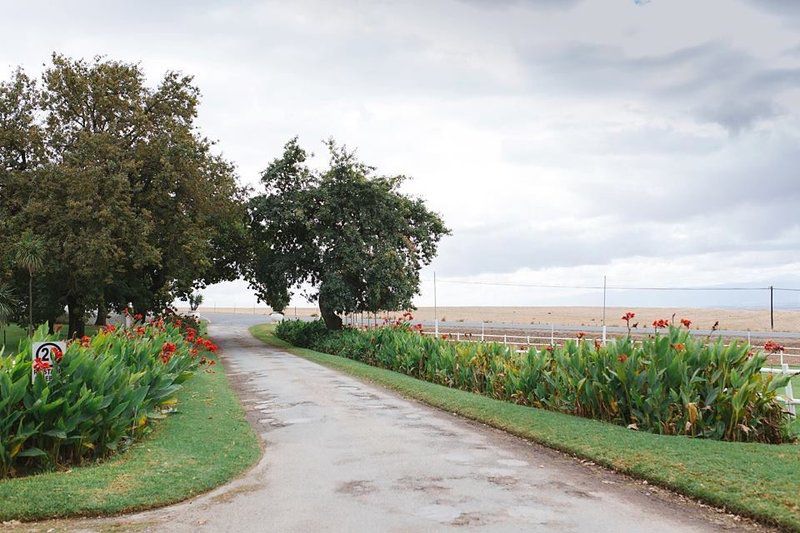 Groenrivier Riebeek West Western Cape South Africa Field, Nature, Agriculture, Plant, Lowland