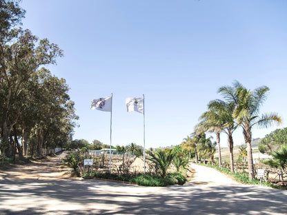 Groenvlei Guest Farm Stellenbosch Western Cape South Africa Flag, Palm Tree, Plant, Nature, Wood