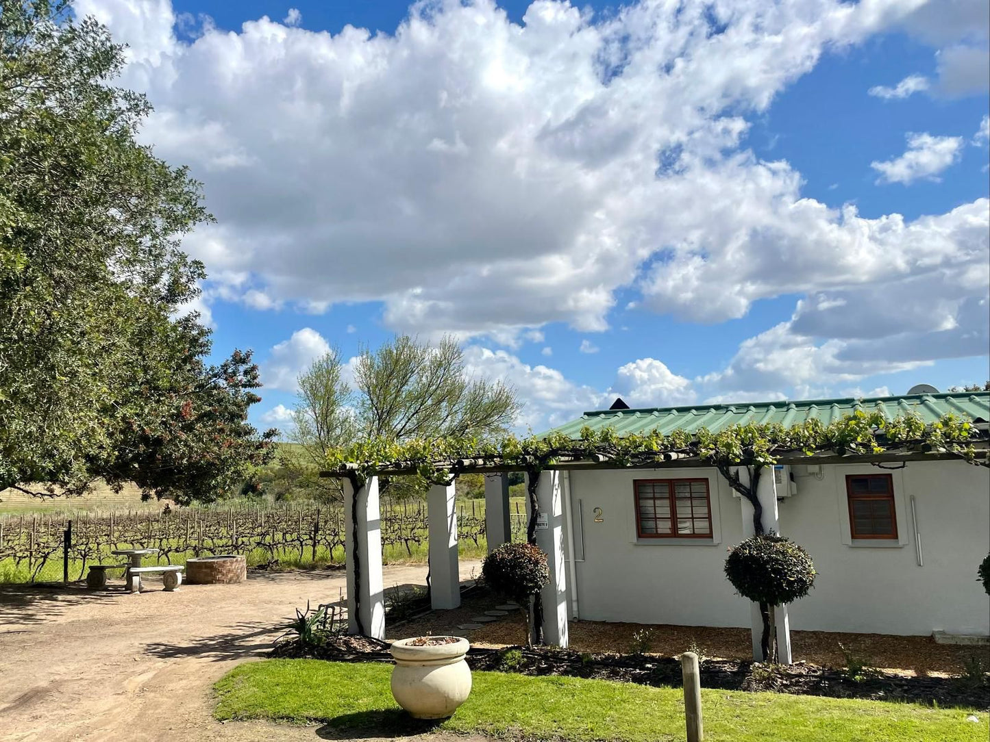 Groenvlei Guest Farm Stellenbosch Western Cape South Africa Complementary Colors, House, Building, Architecture, Garden, Nature, Plant