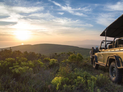 Grootbos Nature Reserve De Kelders Western Cape South Africa Quad Bike, Vehicle