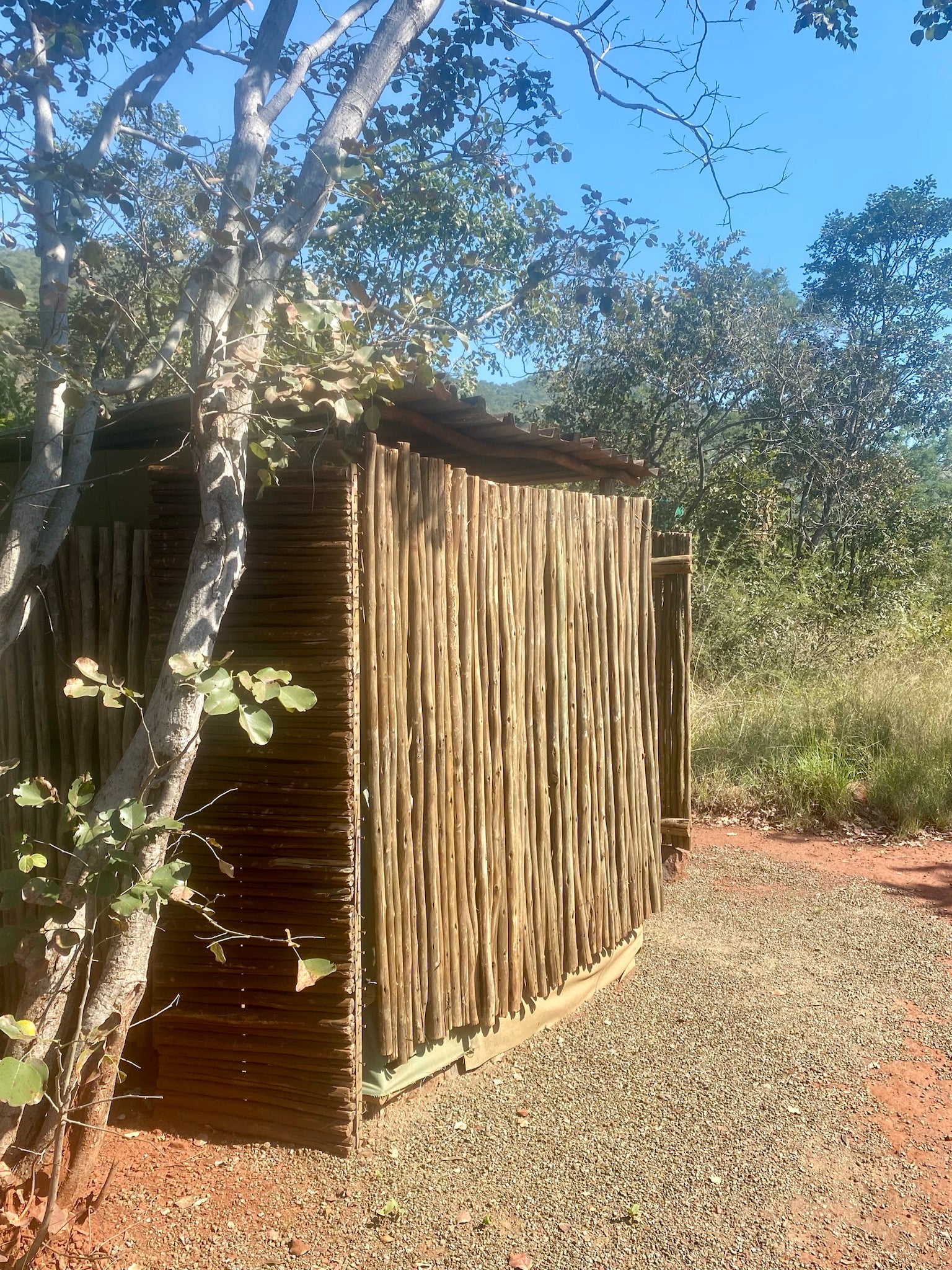 Grootfontein Private Nature Reserve Thabazimbi Limpopo Province South Africa Complementary Colors, Cabin, Building, Architecture, Cactus, Plant, Nature