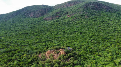 Grootfontein Private Nature Reserve Thabazimbi Limpopo Province South Africa Forest, Nature, Plant, Tree, Wood, Aerial Photography