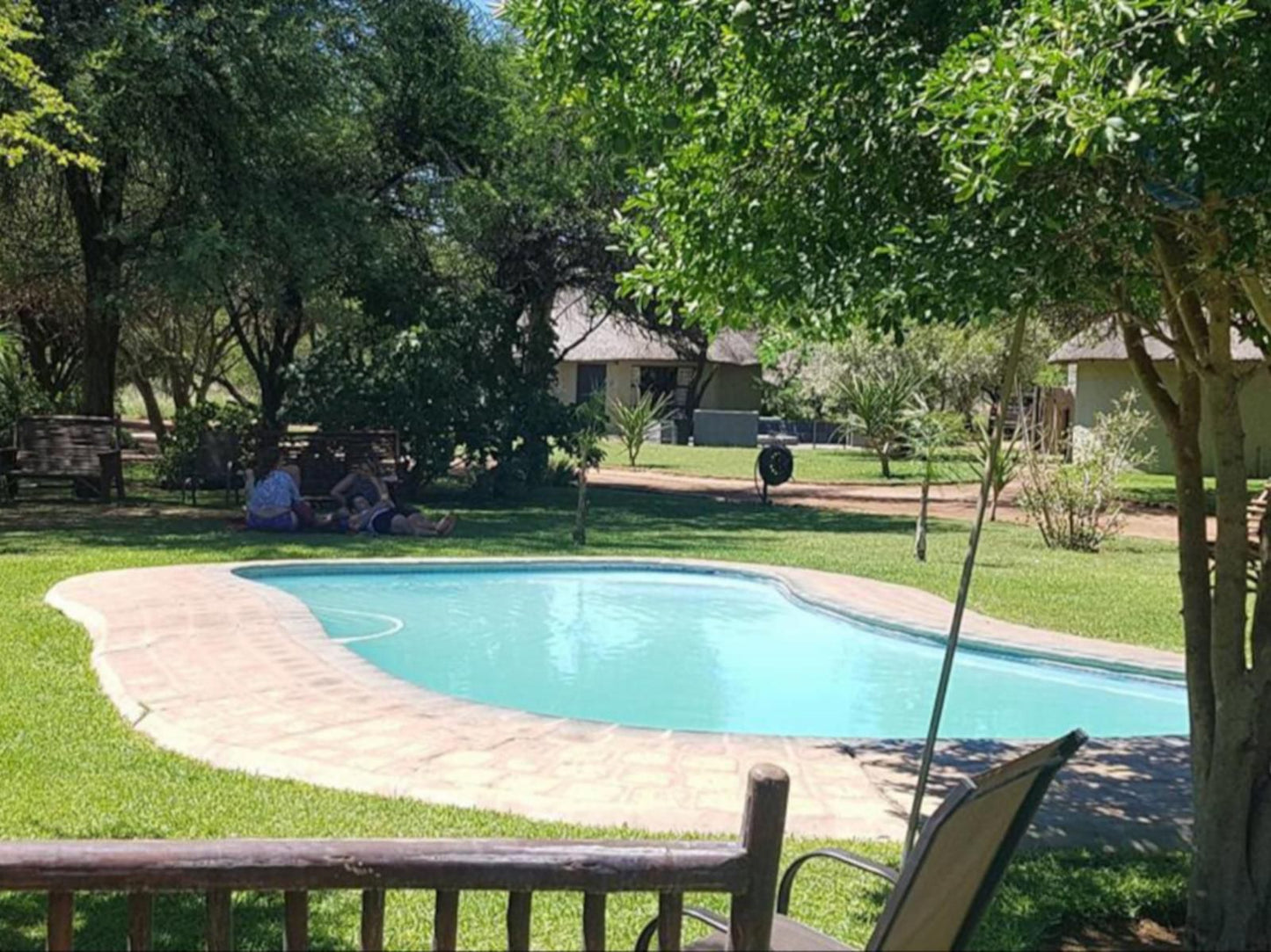 Grootgeluk Bush Camp Mookgopong Naboomspruit Limpopo Province South Africa Garden, Nature, Plant, Swimming Pool