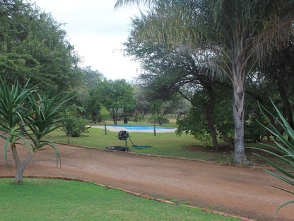 Grootgeluk Bush Camp Mookgopong Naboomspruit Limpopo Province South Africa Palm Tree, Plant, Nature, Wood, Golfing, Ball Game, Sport