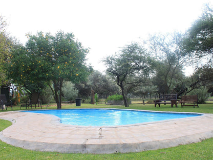 Grootgeluk Bush Camp Mookgopong Naboomspruit Limpopo Province South Africa Swimming Pool