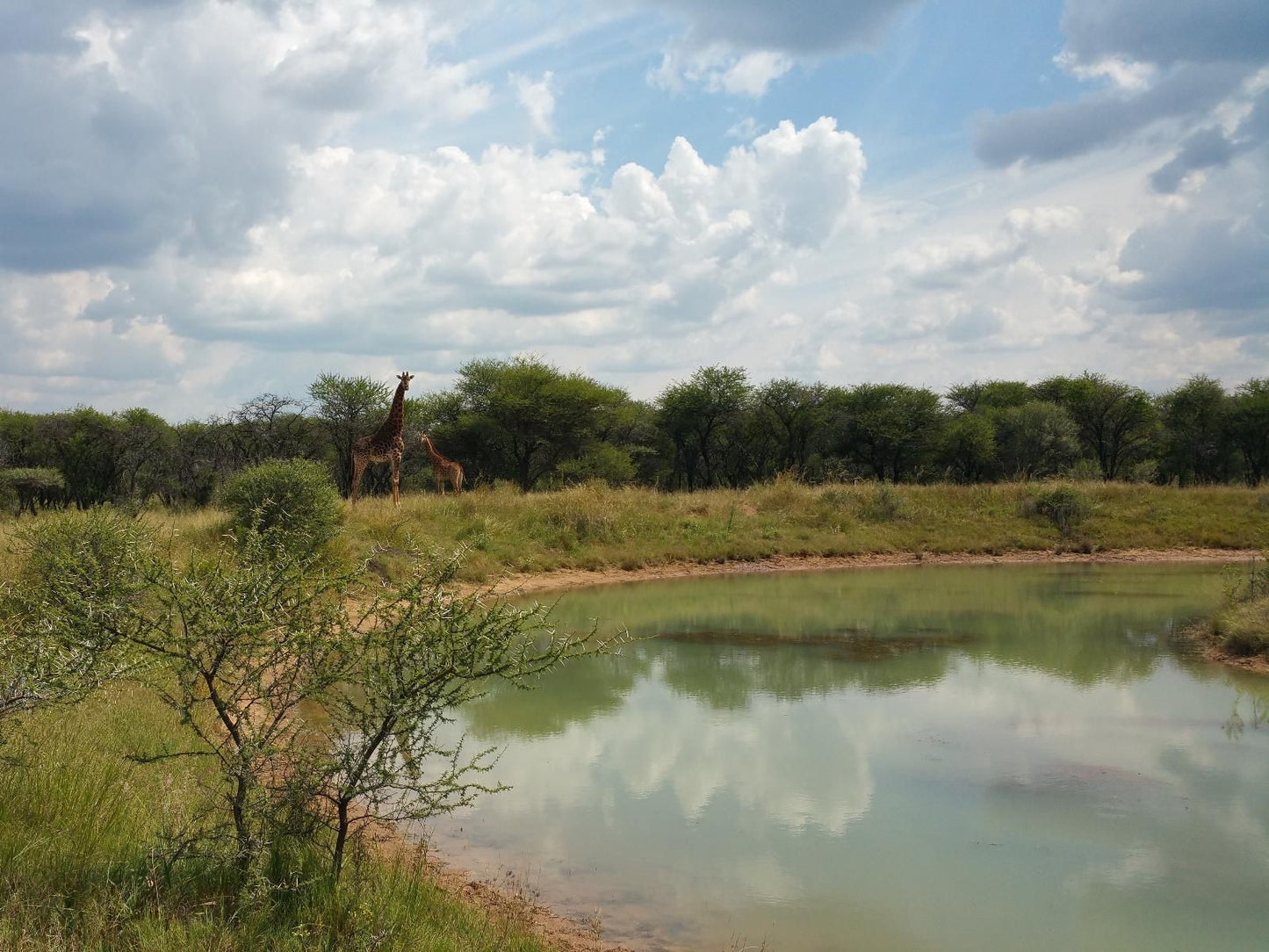 Grootgeluk Bush Camp Mookgopong Naboomspruit Limpopo Province South Africa River, Nature, Waters