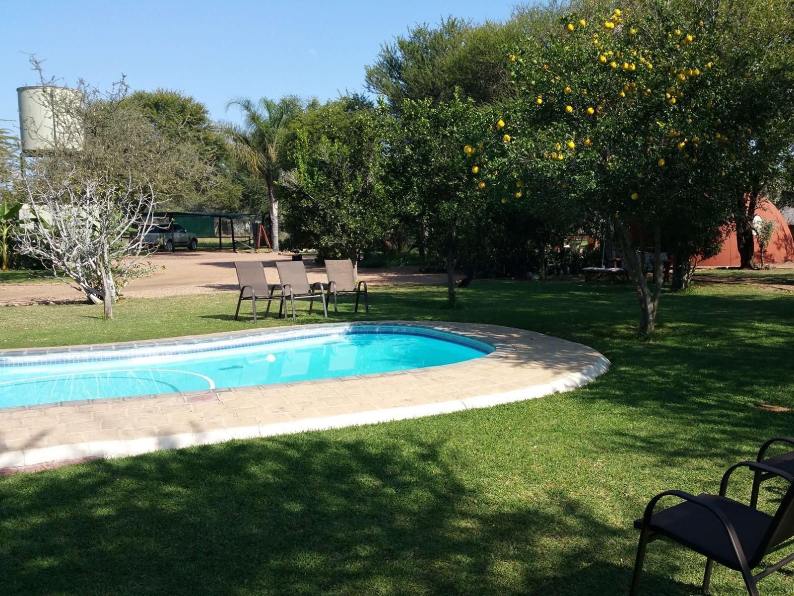 Grootgeluk Bush Camp Mookgopong Naboomspruit Limpopo Province South Africa Palm Tree, Plant, Nature, Wood, Garden, Swimming Pool