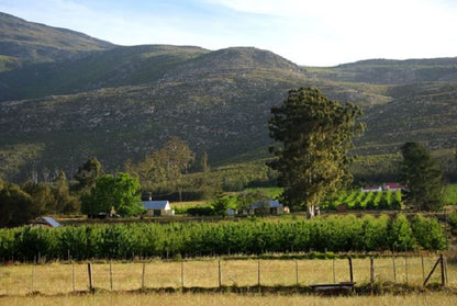 Grootnek Guest Farm Joubertina Eastern Cape South Africa Field, Nature, Agriculture, Wine, Drink, Highland