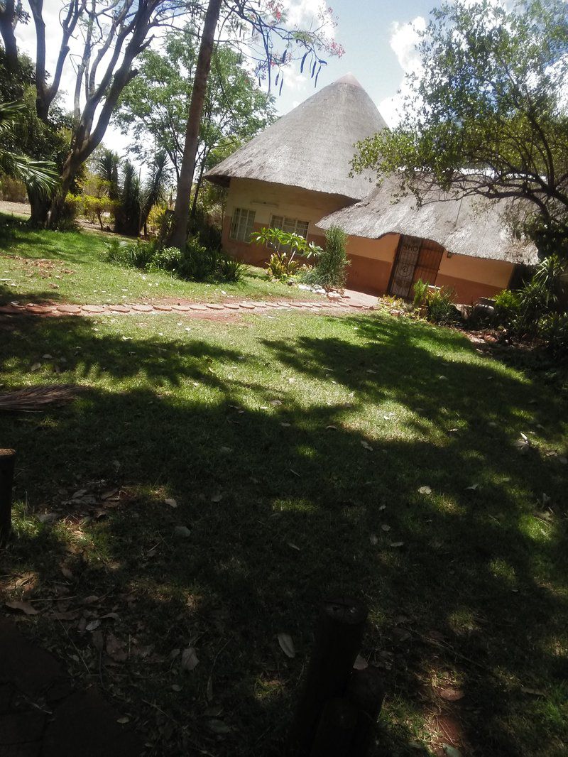 Grootvalley Guest House Mookgopong Naboomspruit Limpopo Province South Africa Palm Tree, Plant, Nature, Wood