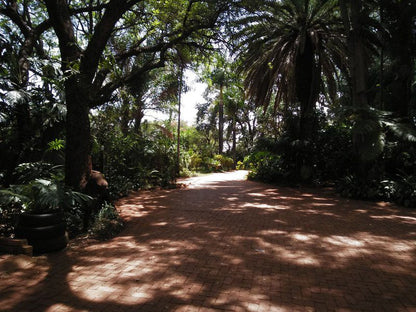 Grootvalley Guest House Mookgopong Naboomspruit Limpopo Province South Africa Forest, Nature, Plant, Tree, Wood, Palm Tree