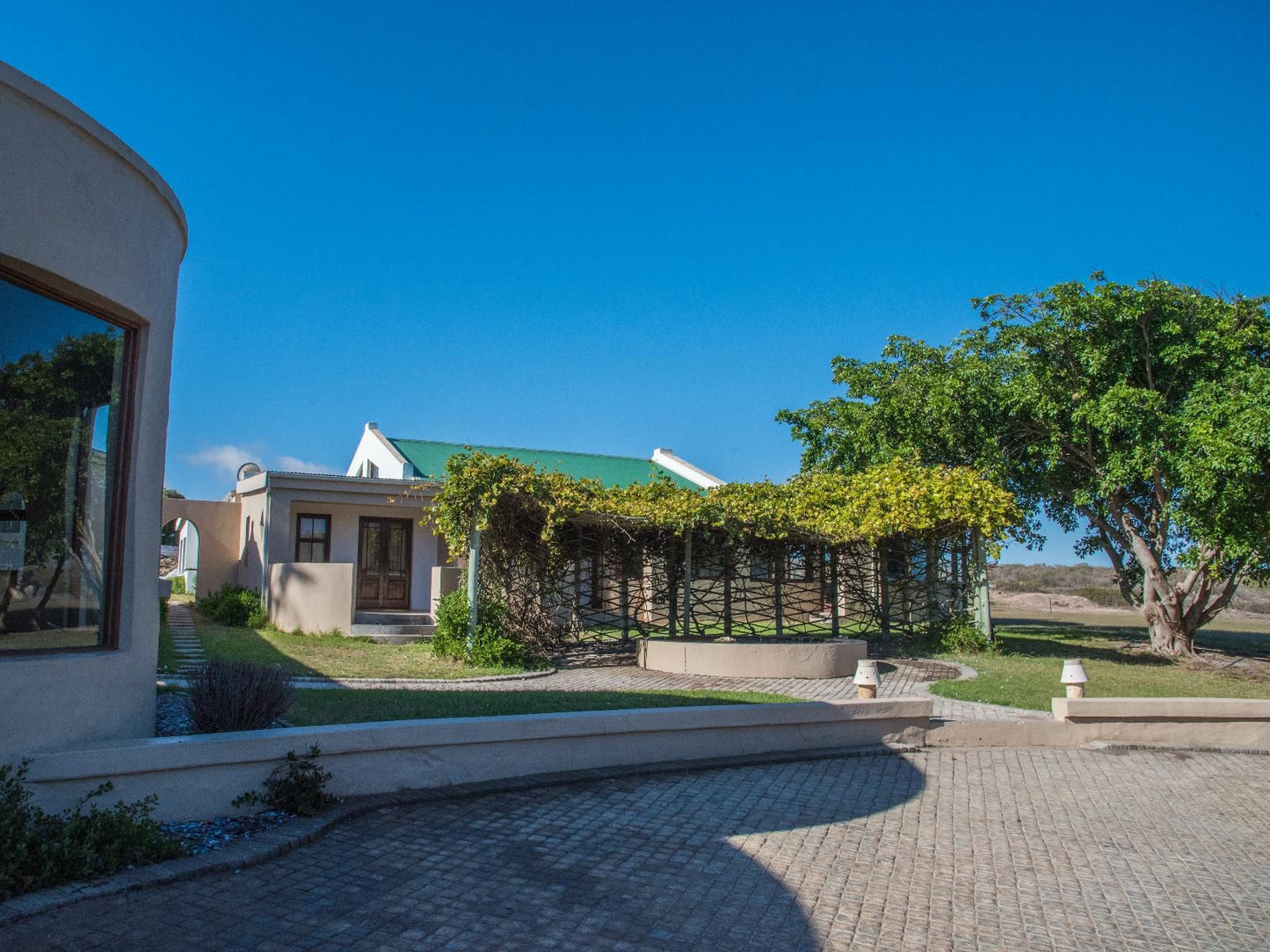 Grootvlei Guest Farm Lamberts Bay Western Cape South Africa House, Building, Architecture, Palm Tree, Plant, Nature, Wood