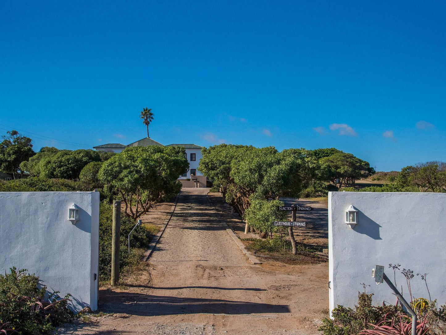 Grootvlei Guest Farm Lamberts Bay Western Cape South Africa Complementary Colors, Beach, Nature, Sand, Lighthouse, Building, Architecture, Tower, Palm Tree, Plant, Wood, Framing