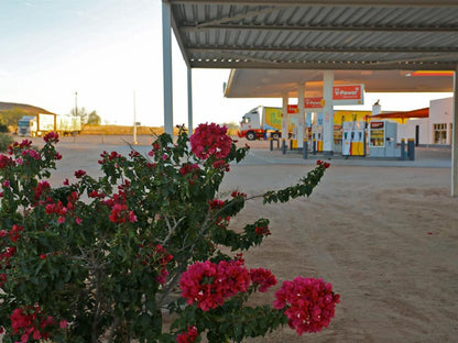 Grunau Chalets, Petrol Station, Plant, Nature