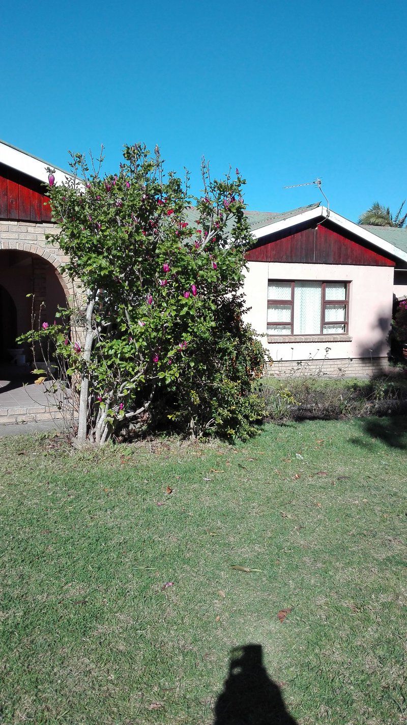 Guest House On The Edge Stormsriver Village Eastern Cape South Africa Plant, Nature