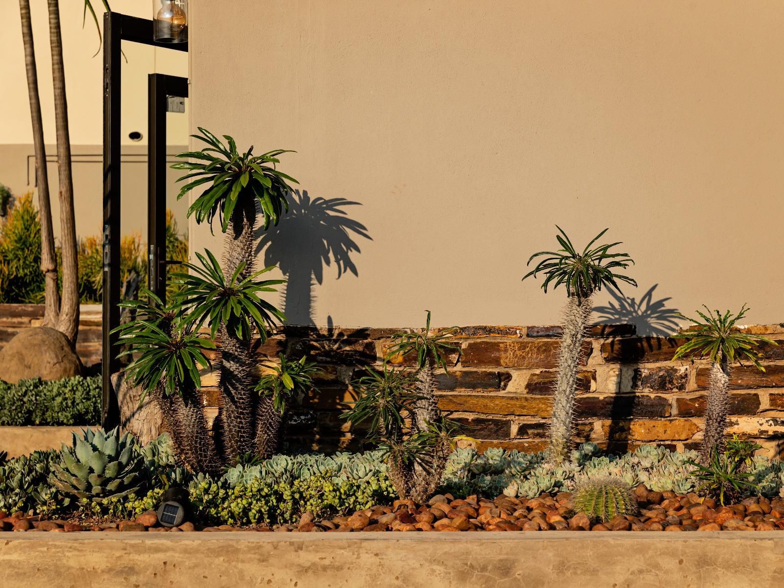 Guest Room At Joubert Piet Retief Mpumalanga South Africa Palm Tree, Plant, Nature, Wood