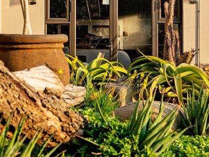 Guest Room At Joubert Piet Retief Mpumalanga South Africa Plant, Nature, Garden