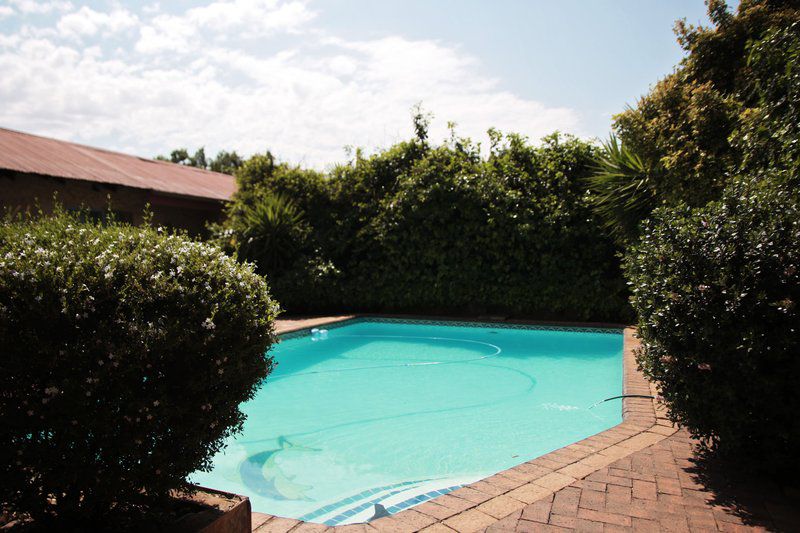 Guesthaven Middelburg Mpumalanga Mpumalanga South Africa Swimming Pool