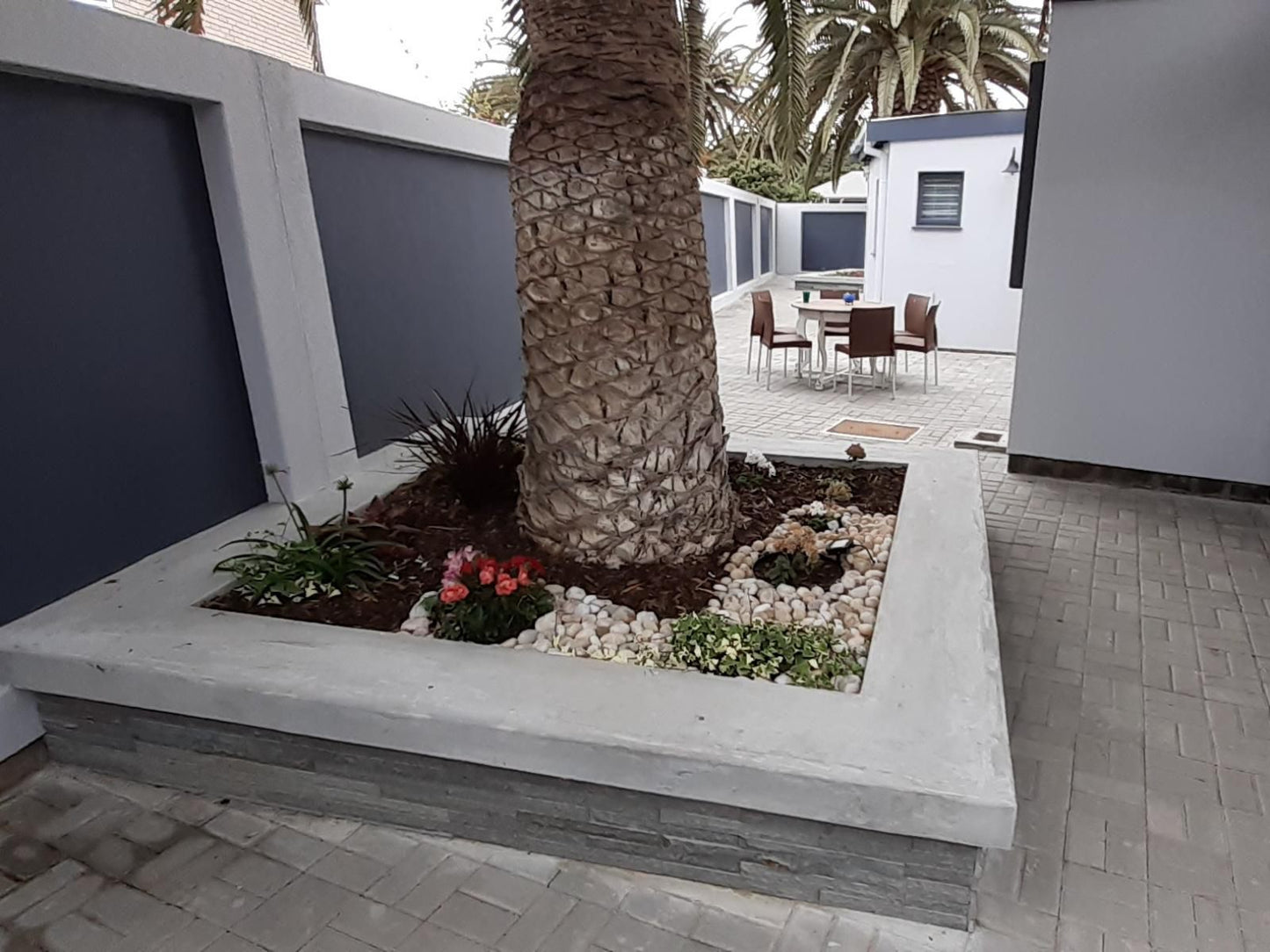 Guesthouse Indongo, Palm Tree, Plant, Nature, Wood