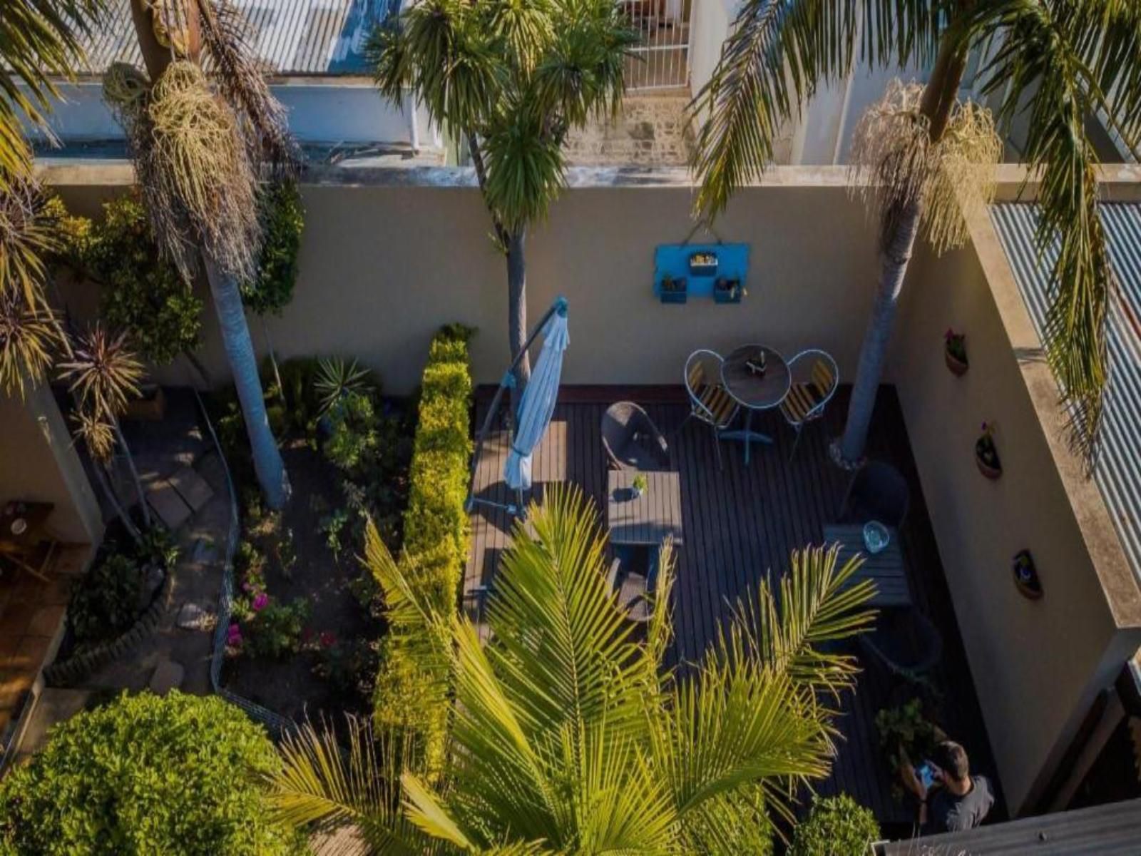 Guesthouse Larachelle Swellendam Western Cape South Africa Balcony, Architecture, House, Building, Palm Tree, Plant, Nature, Wood, Swimming Pool