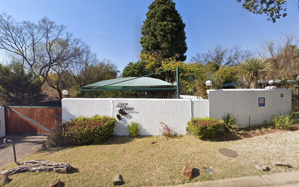 Guest House Oaktree Fourways Johannesburg Gauteng South Africa Complementary Colors